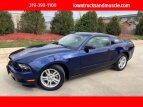 Thumbnail Photo 0 for 2010 Ford Mustang